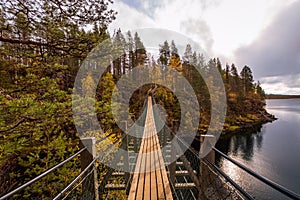 The suspension bridge in autumn forest, Oulanka national park, Finland