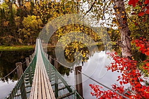 The suspension bridge in the beautiful autumn forest, Oulanka national park, Finland