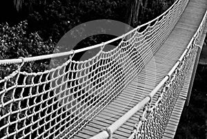 Suspension bridge in Black and White