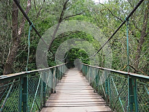 Suspension Bridge in cheile Turzii