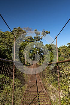 Suspension bridge in the cloudforest, Volcan Baru National Park