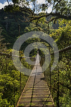 Suspension bridge in the cloudforest, Volcan Baru National Park photo