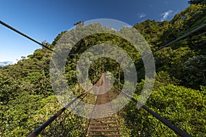 Suspension bridge in the cloudforest, Volcan Baru National Park photo