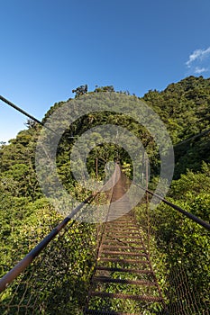 Suspension bridge in the cloudforest, Volcan Baru National Park photo