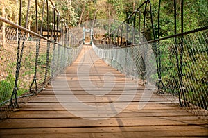 Suspension bridge cross the river in mixed forest