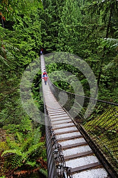 Suspension bridge crossing a canyon