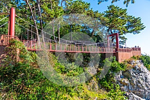 Suspension bridge at Dongbaek park in Busan, Republic of Korea