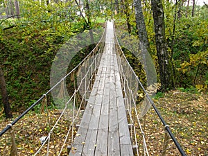 Suspension bridge in the forest.
