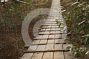 Suspension bridge in the forest.