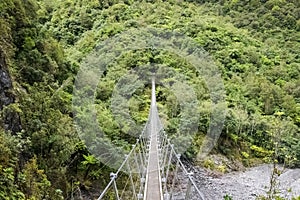 Suspension Bridge in Forest