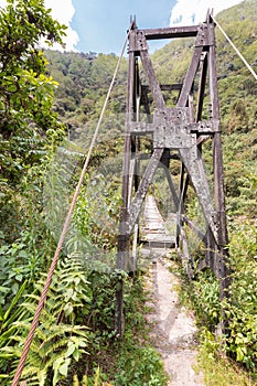 Suspension bridge forest jungle, Bolivia.
