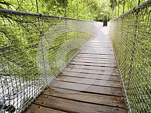 Suspension bridge in the forest in prespective