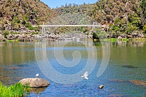 Suspension bridge - Launceston