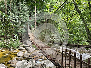 Suspension bridge leads into the forest in Mount Stong National Park in Dabong, Kelantan, Malaysia.