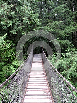 Suspension bridge in Lynn Canyon park