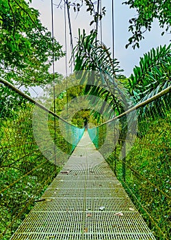 Suspension bridge and nature of Sky Adventures Arenal Park, La Fortuna, Costa Rica. Central America