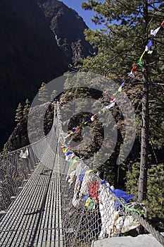 Suspension bridge photo