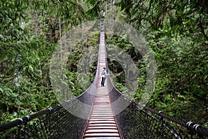 Suspension bridge over the canyon in rain forest.