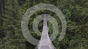 Suspension bridge over the canyon and waterfall with forest and trees in Canadian Nature