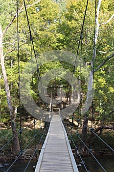 A suspension bridge over the Eno River leading to the Cox Mountain Trail in the forest of Eno River State Park