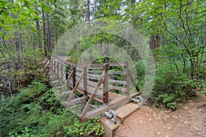 Suspension Bridge Over Falls Creek