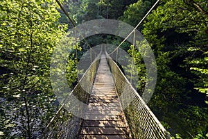 Suspension bridge over a river in jungle.