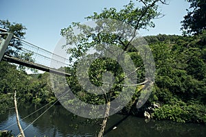 A suspension bridge over a small river in the forest. photo