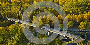 Suspension Bridge in the Park