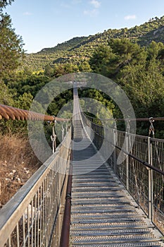 The suspension bridge  in the public Nesher Park suspension bridges in Nesher city in northern Israel