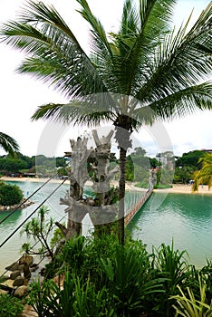 Suspension Bridge in Sentosa