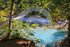 Suspension Bridge to the Grove of the Patriarchs, Mount Rainier National Park, Washington