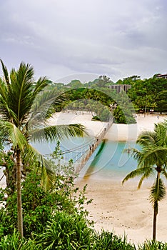 Suspension bridge in tropical climate with palm trees. Tropical landscape on Sentosa Island