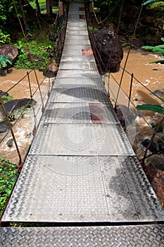 Suspension bridge in tropical forest