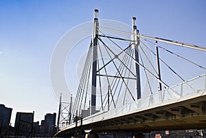 Suspension Bridge & Walkway photo