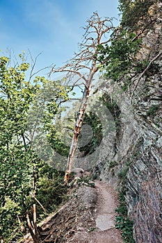 suspension bridges in the swiss alps