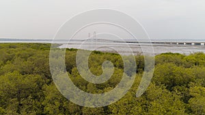 Suspension cable bridge in surabaya