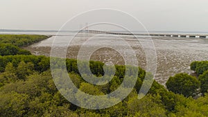 Suspension cable bridge in surabaya