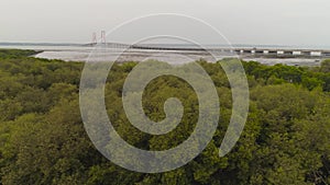 Suspension cable bridge in surabaya