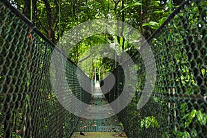 Suspension foot bridges add to the fun while exploring the biodiversity of the rainforest ecosystem in Tirimbina Biological