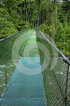 Suspension foot bridges allow exploring the biodiversity of the rainforest ecosystem in Tirimbina Biological Reserve in Costa Rica