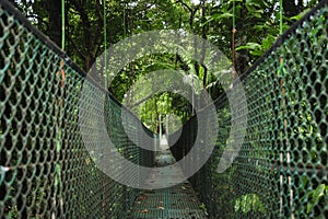 Suspension foot bridges allow viewing the biodiversity of in Tirimbina Biological Reserve in Costa Rica from above.