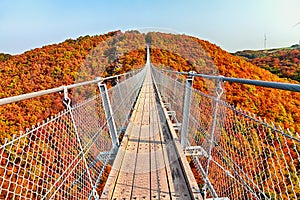 Suspension footbridge Geierlay