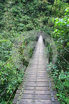 A Suspension Footbridge in Taiwan