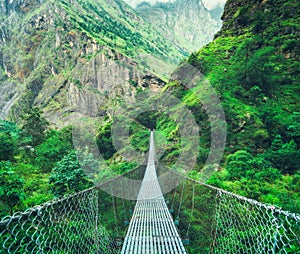 Suspension metal bridge and beautiful green forest in mountains