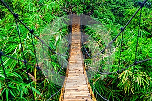 Suspension pedestrian bridge made from natural bamboo