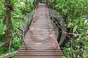 Suspension wood bridge walkway in the forest