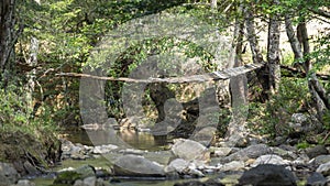 Bridge on El Encuentro Park, Chiapas, Mexico photo