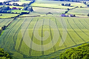 Sussex farmland on a bright sunny day. photo