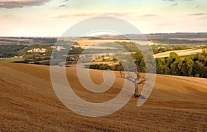 The sussex downs photo