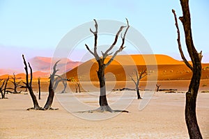 Sussusvlei Deadvlei - Namibia